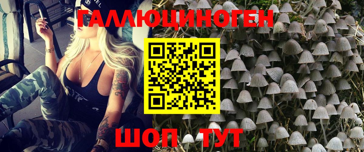 Псилоцибиновые грибы мухоморы Озёрск